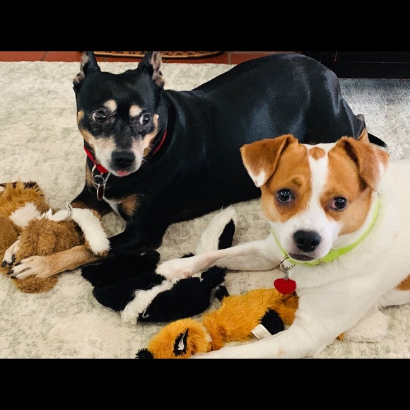 Meet your Posher, Yael - Picture 1 of 1